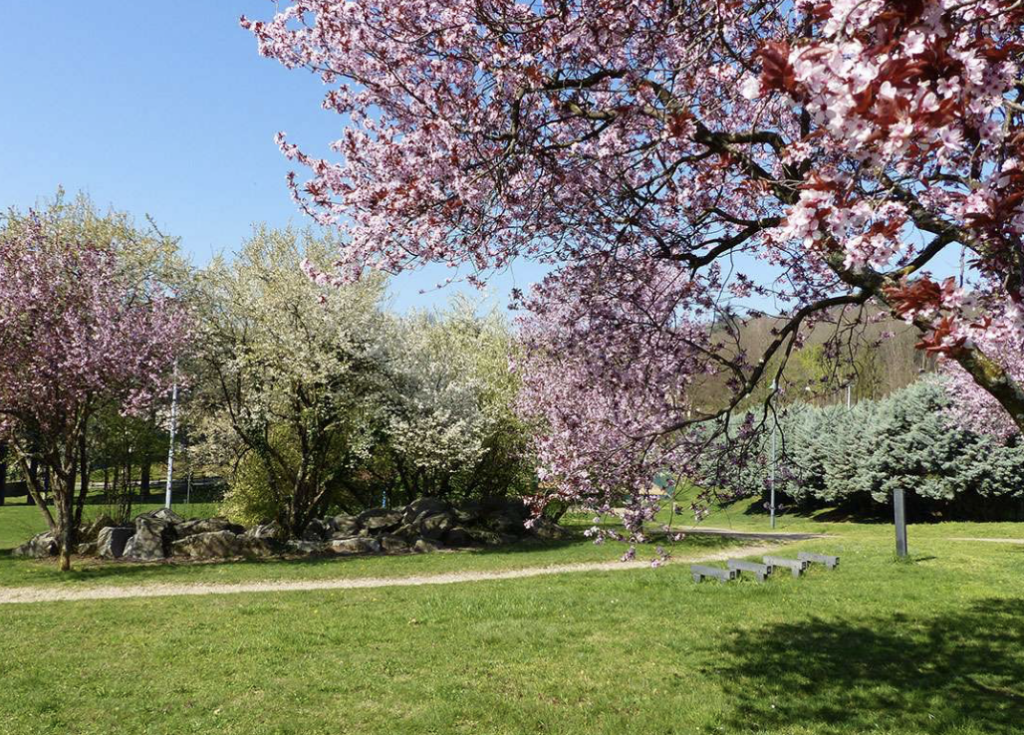 serrurier à La Mulatière