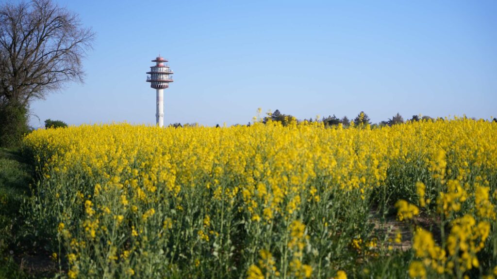 Serrurier à Chassieu