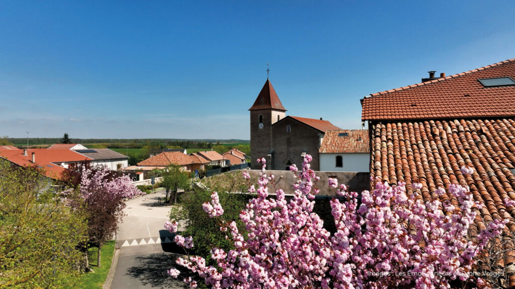 Vitrier à Francheville