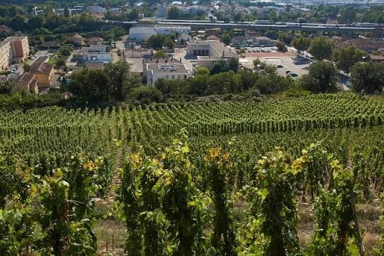 service de vitrier à Chasse-sur-Rhône